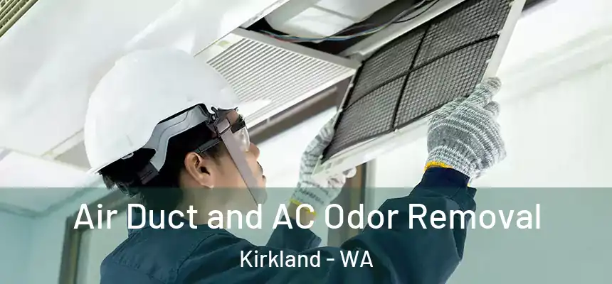 Air Duct and AC Odor Removal Kirkland - WA