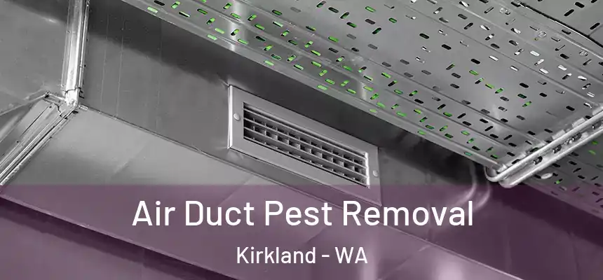  Air Duct Pest Removal Kirkland - WA