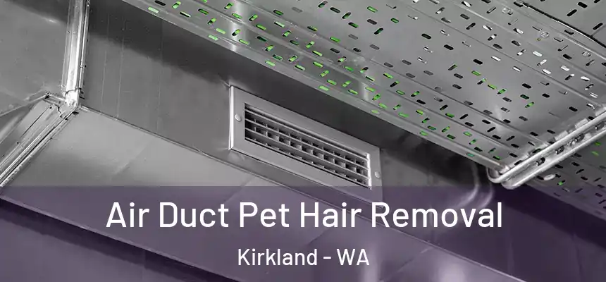 Air Duct Pet Hair Removal Kirkland - WA