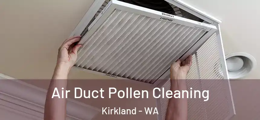  Air Duct Pollen Cleaning Kirkland - WA