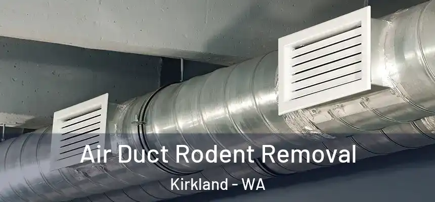 Air Duct Rodent Removal Kirkland - WA