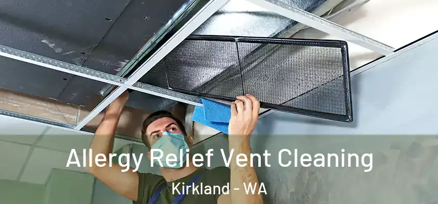  Allergy Relief Vent Cleaning Kirkland - WA