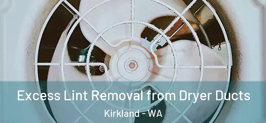 Excess Lint Removal from Dryer Ducts Kirkland - WA