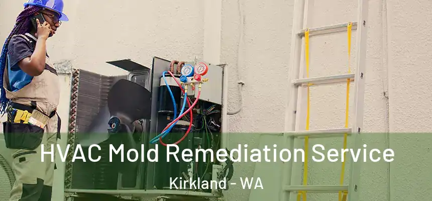 HVAC Mold Remediation Service Kirkland - WA