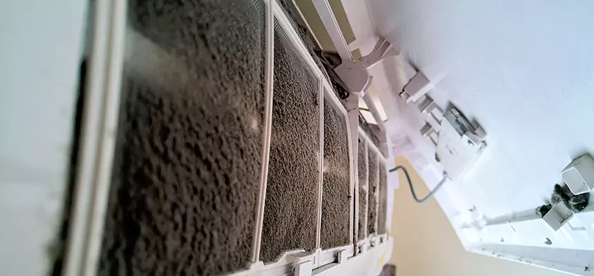 Preventive Air Duct Bacteria Removal in Kirkland