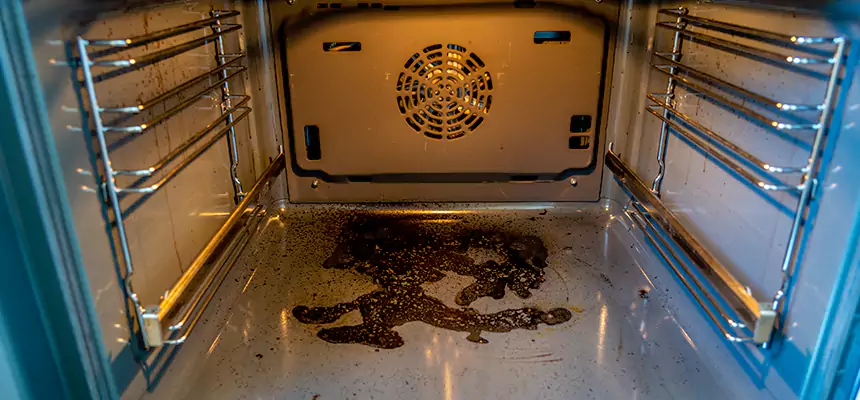 Our Dryer Vent Mold Cleaning Services in Kirkland, WA