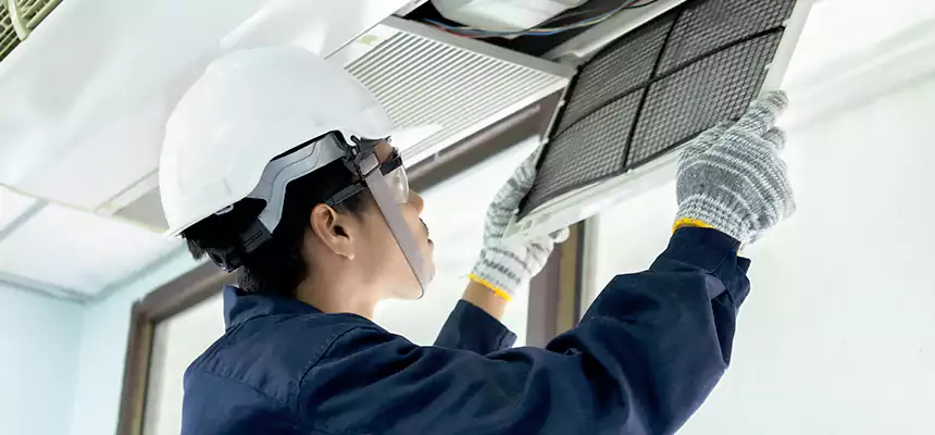 Our Mold & Mildew Removal from Air Ducts Services in Kirkland, WA