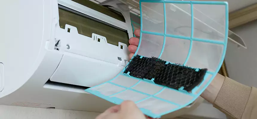 Gentle Ductwork Odor-Control Pet Dander Duct Cleaning in Kirkland, WA