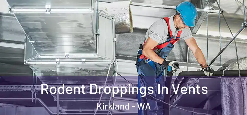 Rodent Droppings In Vents Kirkland - WA