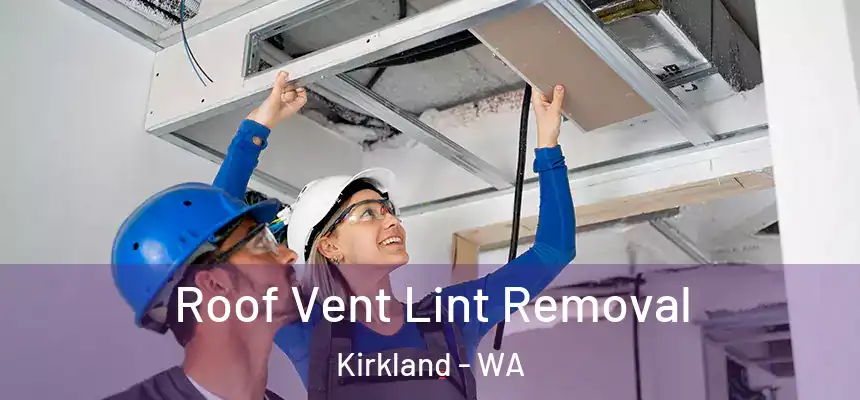 Roof Vent Lint Removal Kirkland - WA