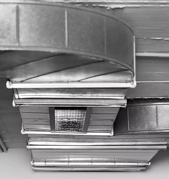 Professional Air Duct Pet Hair Removal in Kirkland, WA