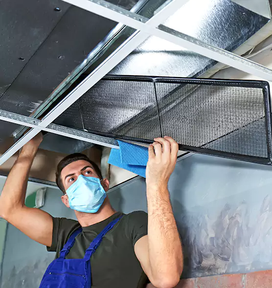 Professional Air Duct Pollen Cleaning in Kirkland, WA