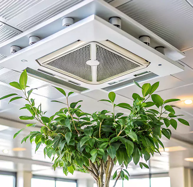 Why Homeowners & Businesses Trust Us in Kirkland, WA