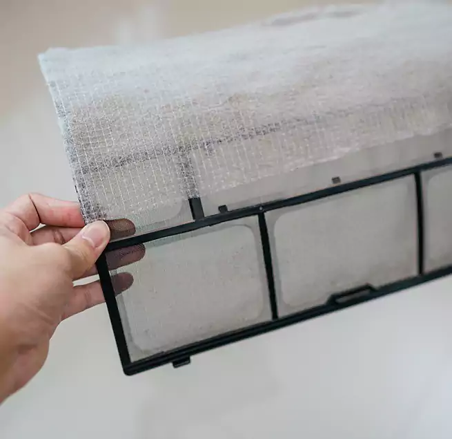 Why Homeowners & Businesses Trust Us in Kirkland, WA?