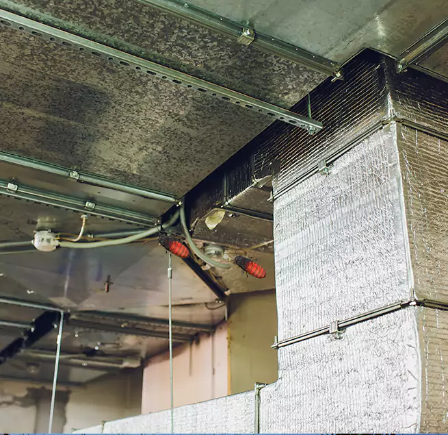 Why Homeowners & Businesses Trust Us Kirkland, WA?