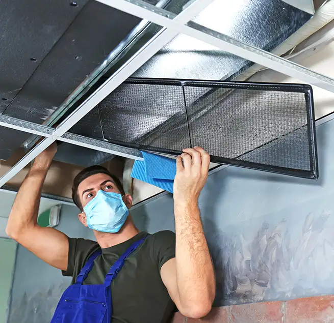 Why Homeowners & Businesses Trust Us in Kirkland, WA?