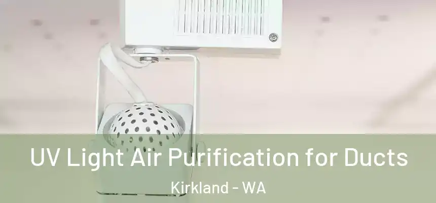  UV Light Air Purification for Ducts Kirkland - WA